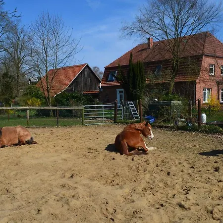 Noltenius Apartamento